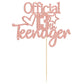 Gyufise Rose Gold Glitter Officially A Teenager 13 Cake Topper 13Th Birthday Cake Decorations 13Th Birthday Party Decorations Fo