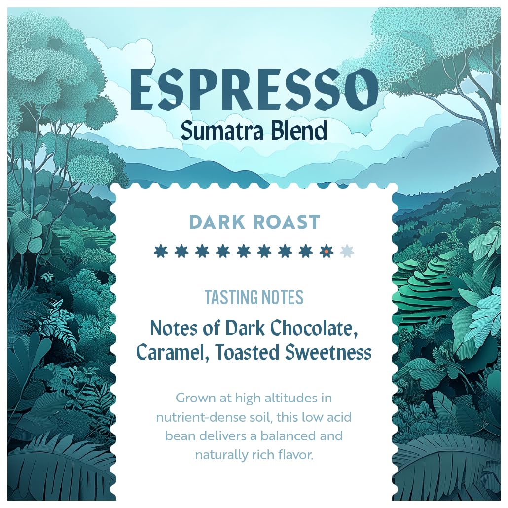 Clean Coffee Co. - Low Acid Espresso Roast  Tested for Molds and Toxins  Sumatra Blend  Notes of Dark Chocolate  Caramel  Toasted Sweetness (Whole Bean  12 oz Bag)
