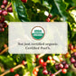 Peets Coffee Dark Roast Ground Coffee | USDA Organic | French Roast | 36 Ounces | 2 Bags