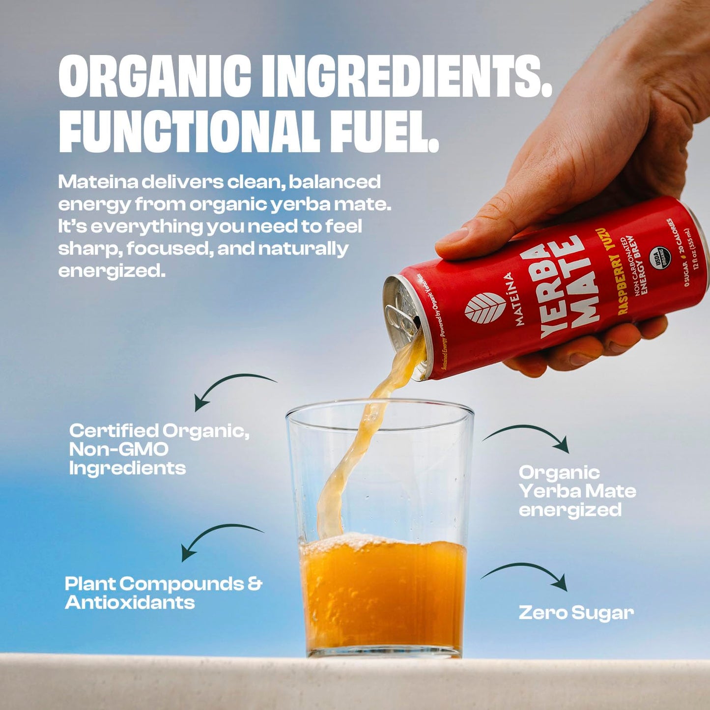 Mateina Yerba Mate Zero Sugar Energy Drink - 120mg Natural Caffeine - Organic  Non-GMO  Non-Carbonated - Dr. Andrew Huberman Recommended - 12 Pack (12oz Cans) (12 Pack  Raspberry Yuzu)