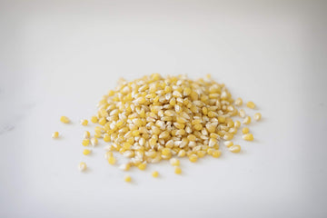 Amish Country Popcorn | 1 lb Bag | Ladyfinger Popcorn Kernels | Old Fashioned, Non-GMO and Gluten Free (Ladyfinger - 1 lb Bag)