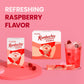 Teazen Raspberry Kombucha Tea, Hydration Drink Mix, Sugar Free, Live Probiotics & Prebiotics, 10 Sticks, 1.76Oz