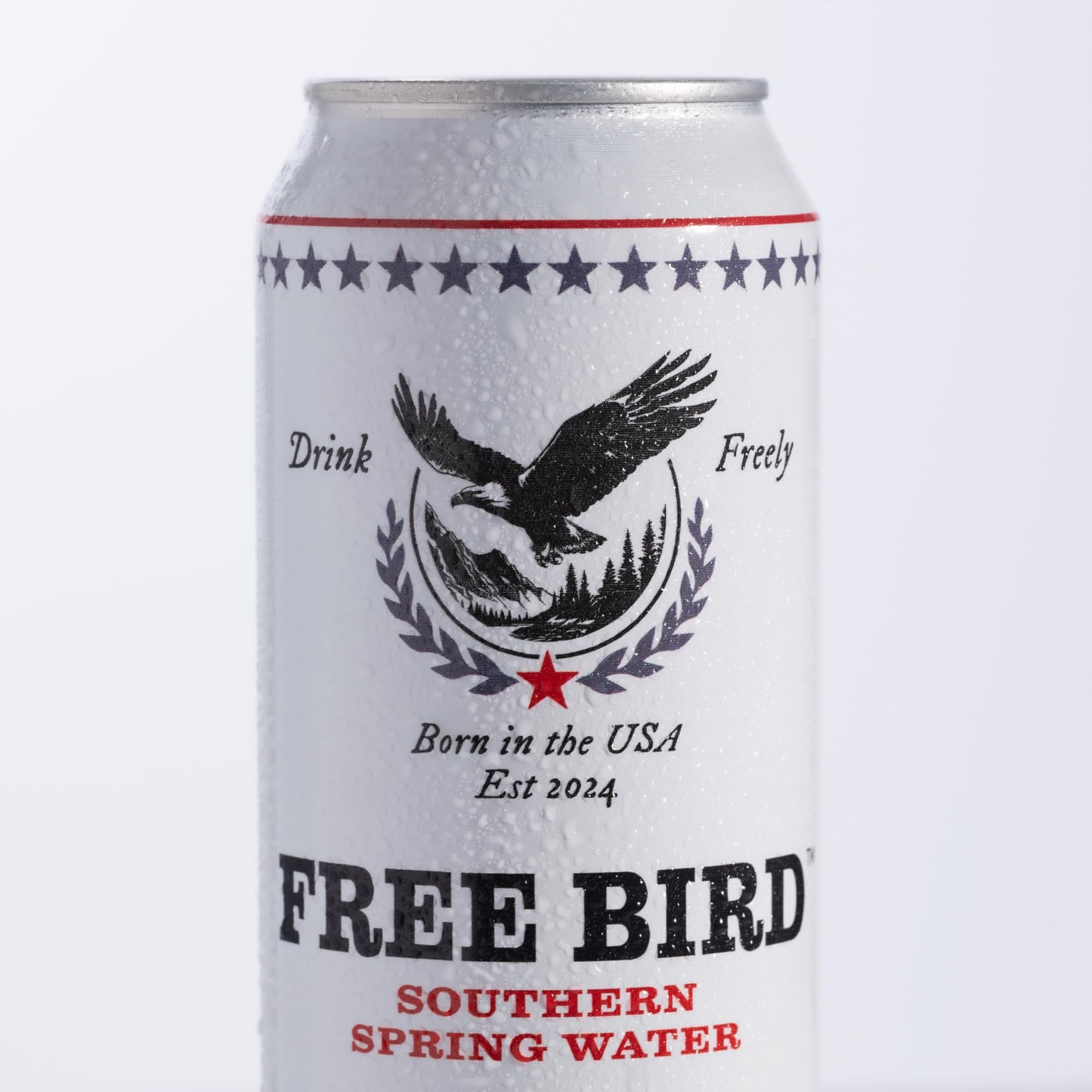 Free Bird Spring Water, 12-Pack Tallboy Cans, Crisp & Clean, 19.2oz Each