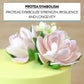 Global Sugar Art Protea Sugar Cake Flowers Medium Pink, 3 Count by Chef Alan Tetreault