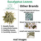 Natural Eucalyptus Herb Leaves, Whole Eucalyptus Leaves, 56G (2.0 Oz)