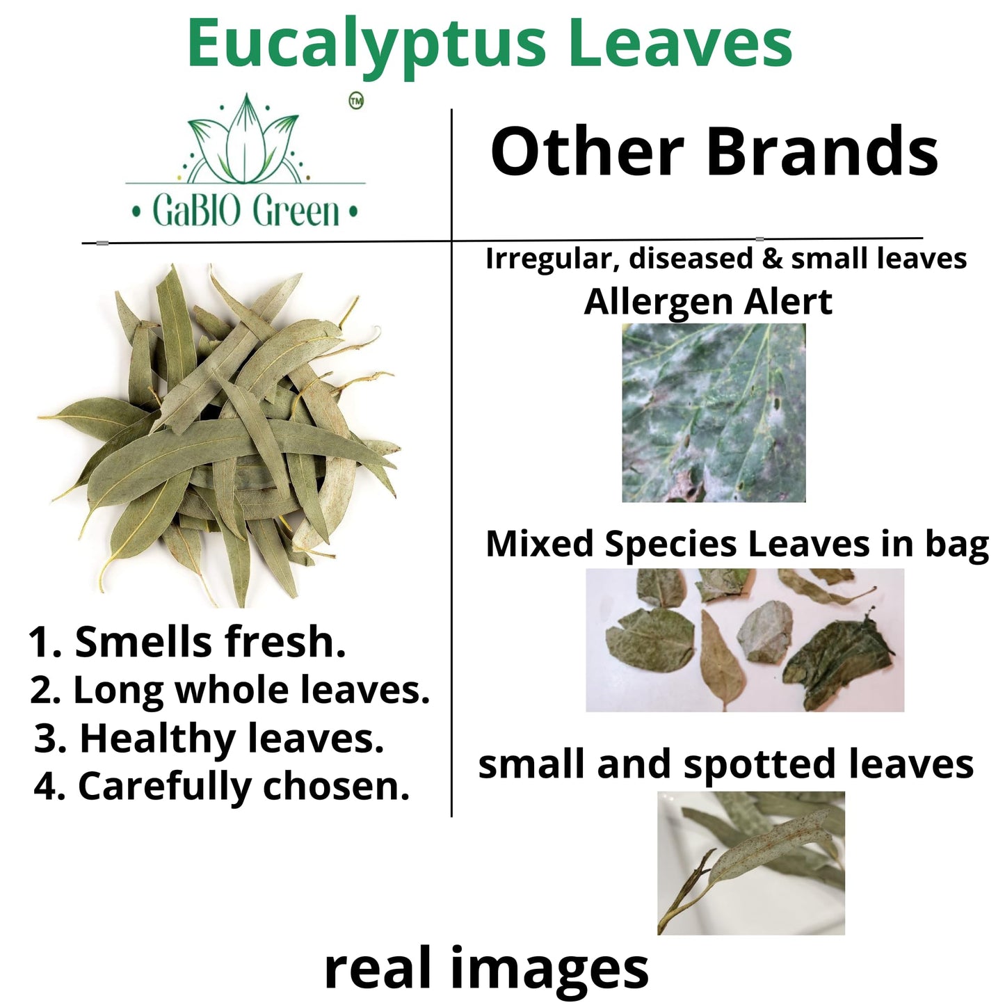 Natural Eucalyptus Herb Leaves, Whole Eucalyptus Leaves, 56G (2.0 Oz)