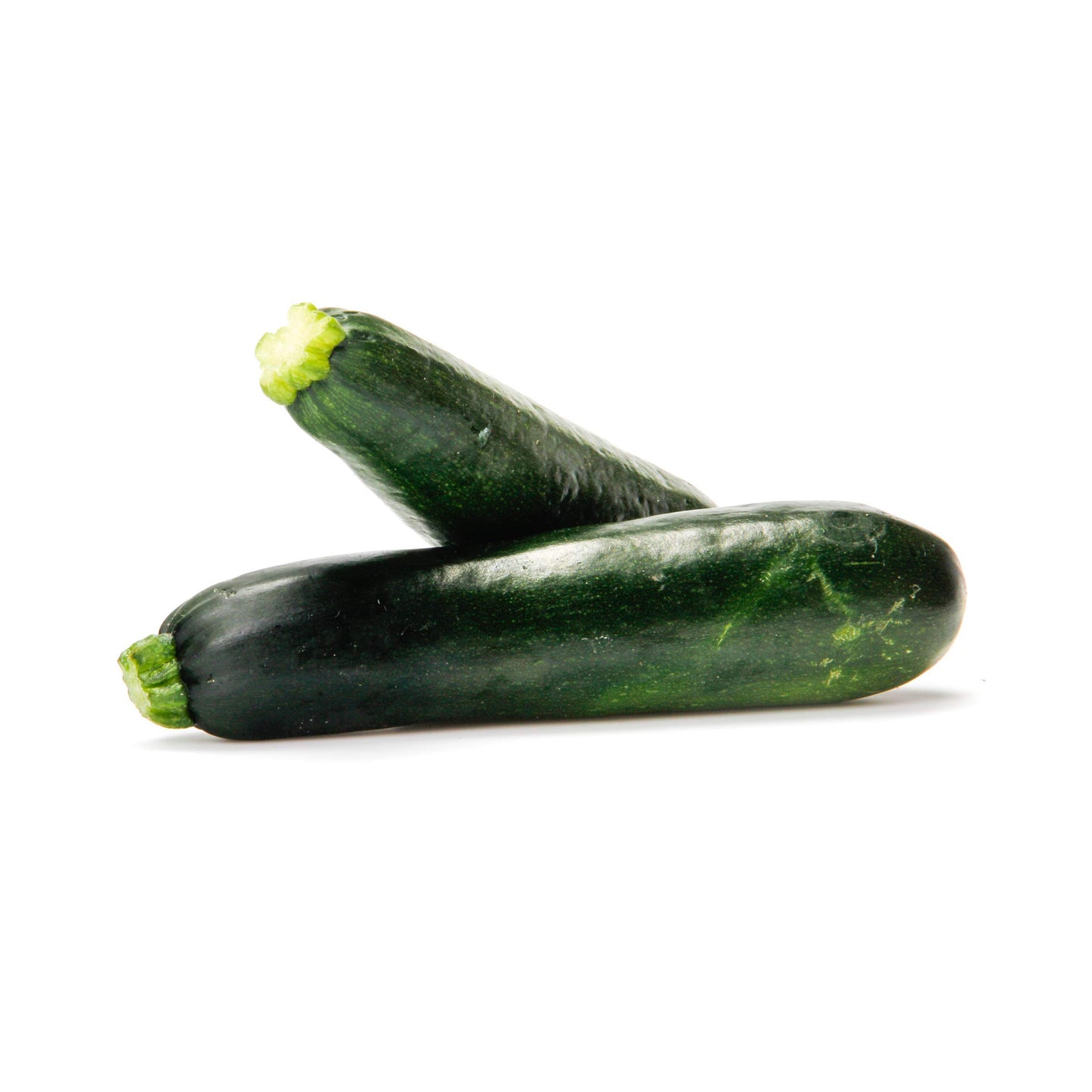 Organic Zucchini Squash