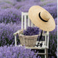 Lavender French Hard Candy from LAmi Provencal 5.29oz