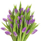 Kabloom Flowers -Valentine'S Day Collection - 20 Purple Tulips Without Vase, Gift For Birthday, Sympathy, Anniversary, Get Well,