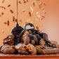 Thanksgiving Gift Basket, Assorted Gourmet Dark And White Chocolate Truffles, Holiday   In Elegant Gift Box, Bonnie And Pop