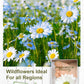American Meadows Wildflower Seed Packets Our Family Is Blooming Baby Shower Party Favors (Pack Of 20) - Wildflower Seed Packet F