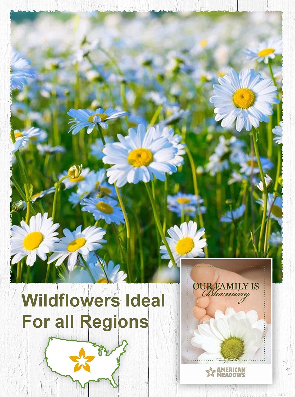 American Meadows Wildflower Seed Packets Our Family Is Blooming Baby Shower Party Favors (Pack Of 20) - Wildflower Seed Packet F