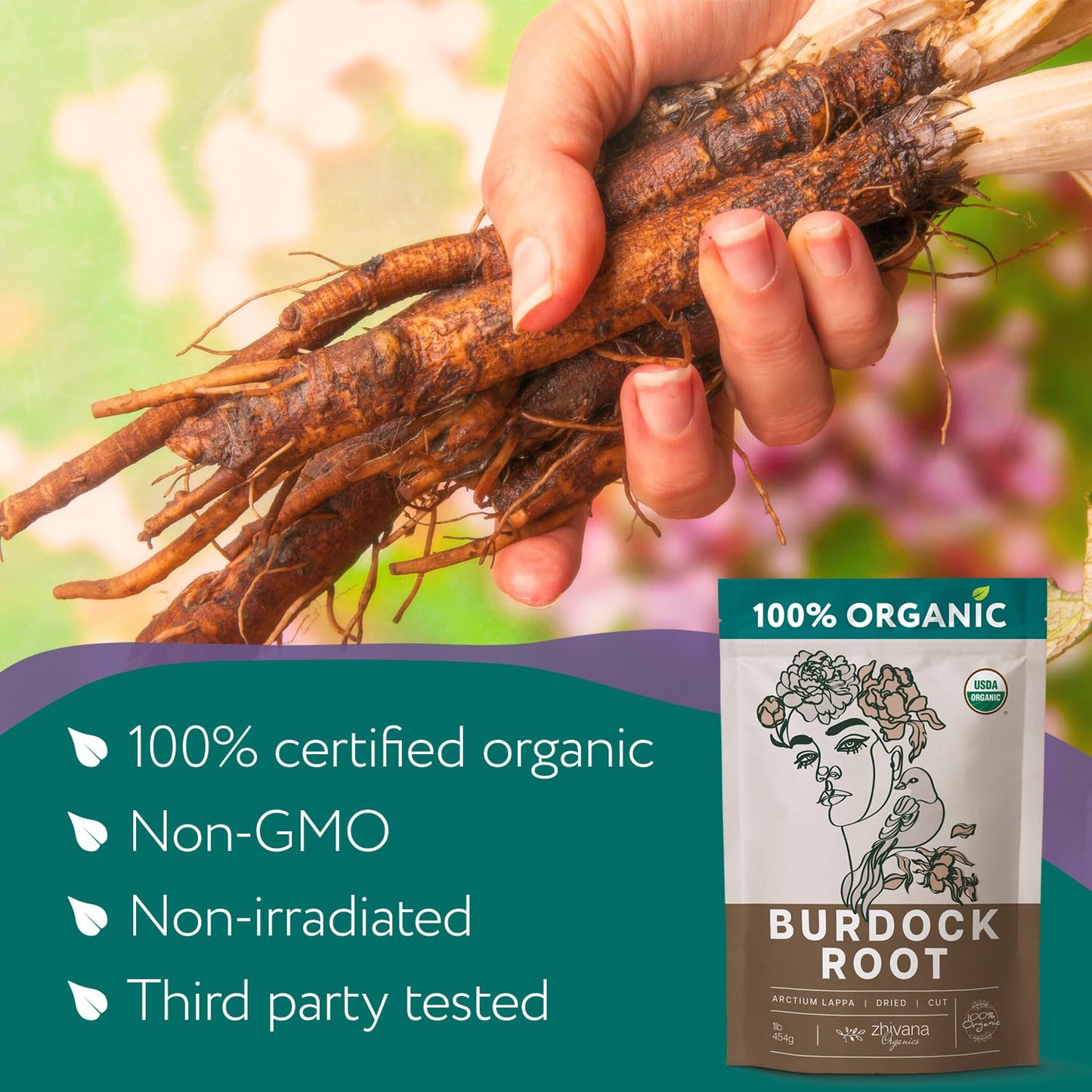 Zhivana Organics Premium Burdock Root Tea - Organic Loose Leaf Herbal Tea for Detox - 16 oz