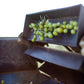 Cobram Estates - Evoo Ca Essentials Robust - Case of 6 - 12.7 FZ (6x12.7 FZ)