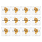 Simply Gum | Ginger | Pack of Twelve (180 Pieces Total) | Synthetic Free + Aspartame Free + non GMO