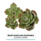 Global Sugar Art Succulents Parva Assortment Sugar Cake Flowers, 3 Count, Green Parva