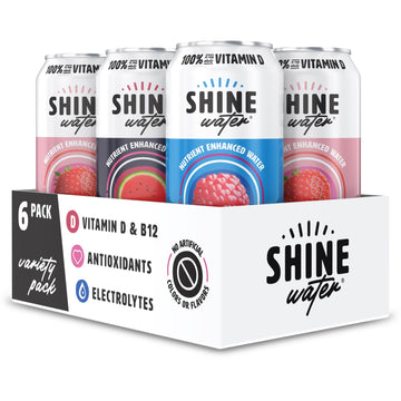 ShineWater Vitamin D Electrolyte Drink, Zero Sugar Hydration, 16 Fl Oz (Pack of 6)