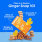 Partake Foods Gluten Free Ginger Snap Crunchy Cookies - Vegan - Free From the Top 9 Allergens Including Dairy, Wheat, Soy, Eggs,