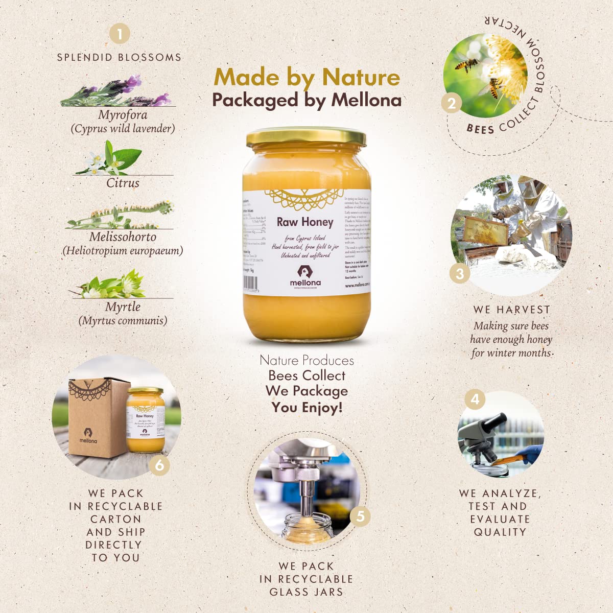 Mellona 100% Raw Honey Unfiltered  Natural Creamy Golden Honey Raw Unprocessed  Unheated & Unfiltered(1KG)