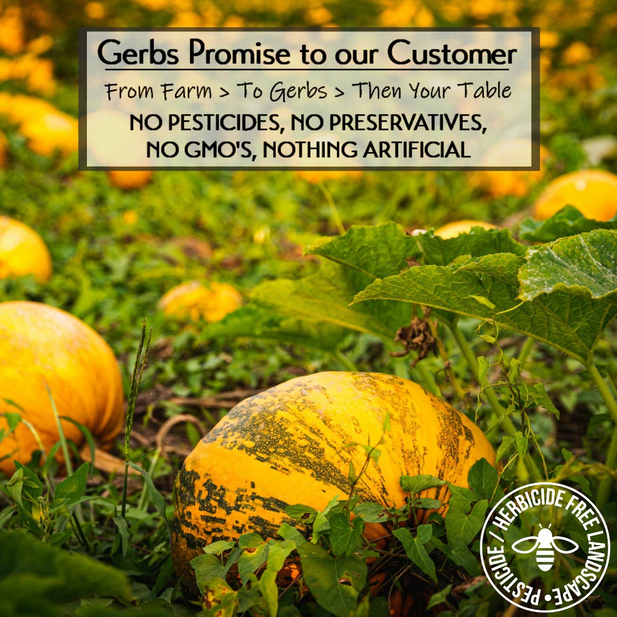 Gerbs Ground Pumpkin Seed Meal, 2 LBS - Top 14 Food Allergy Free & NON GMO - Vegan & Keto Safe - Cold Milled Full Oil Seed Prote