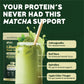 BBfL Grass-Fed Whey Protein Shake, 21g Protein, Matcha + Apple Cider Vinegar, 11.64 Ounce, rBGH-Free, Prebiotics,
