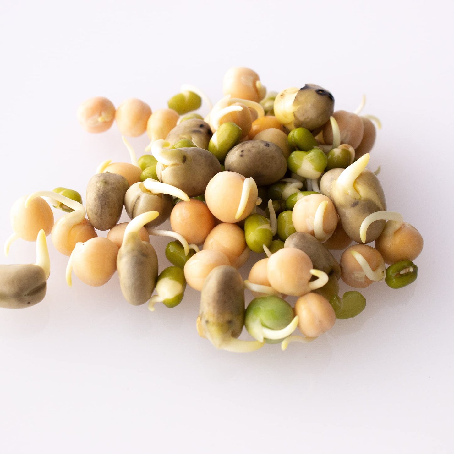Organic Sprouting Seeds - Handy Pantry Sweet Protein Mix 8 Oz. - Fava Bean, Mung Bean, & Yellow Pea Seeds - High Protein Food Fo