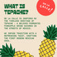 De La Calle Tepache - Pineapple Spice - Modern Mexican Soda - Craft Fermented Pineapple Sparkling Beverage - Certified Organic, Antioxidant Rich, Non- Ic, Healthy Soda, Low Sugar, Low Calorie, Non-Gmo