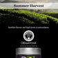 DoMatcha Summer Harvest Green Tea Matcha Powder, Natural Antioxidants, 75 Servings, 2.82 oz