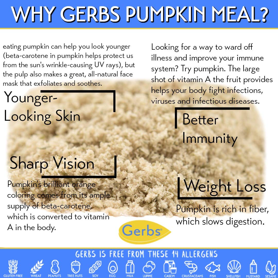 Gerbs Ground Pumpkin Seed Meal, 2 LBS - Top 14 Food Allergy Free & NON GMO - Vegan & Keto Safe - Cold Milled Full Oil Seed Prote
