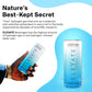 Elevate Hydrogen Water (12 Pack) Highest Hydrogen Infused Water For Recovery, Energy, Hydration, Focus, And Endurance. 3-5 Ppm M