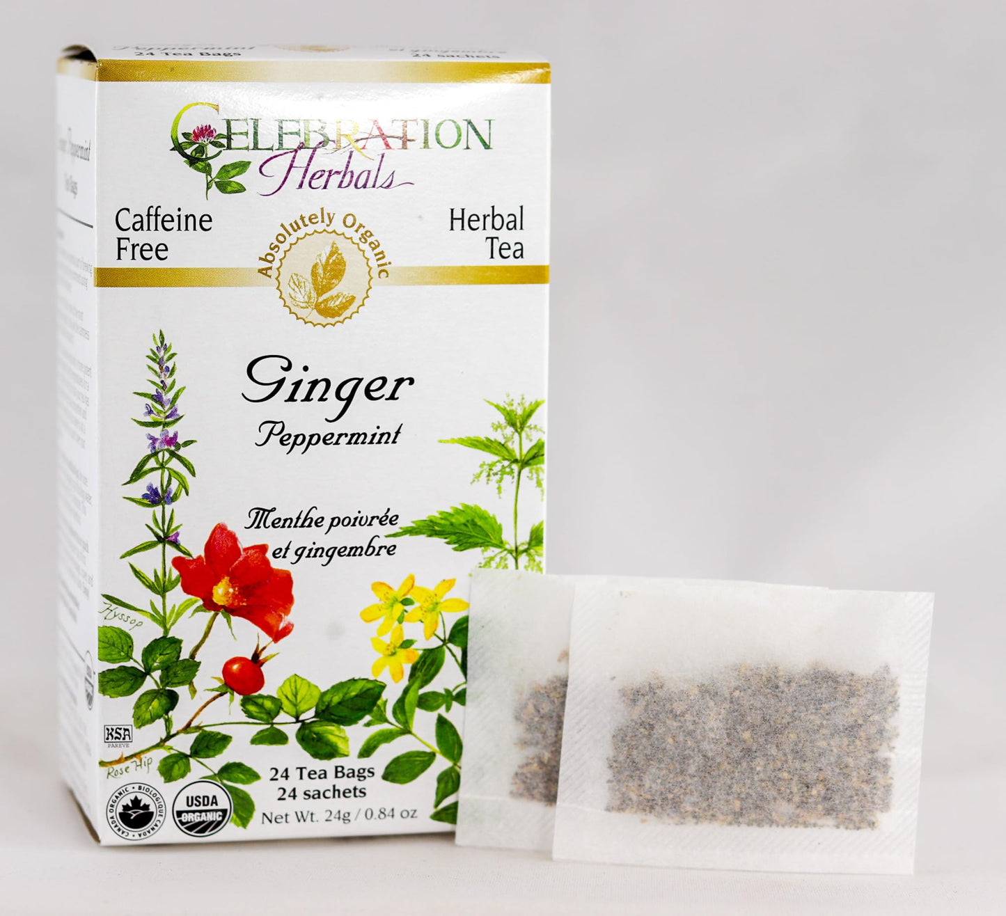 Celebration Herbals Ginger Peppermint Tea - 24 Count (Pack of 1)