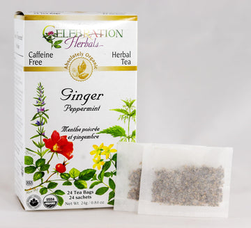Celebration Herbals Ginger Peppermint Tea - 24 Count (Pack of 1)