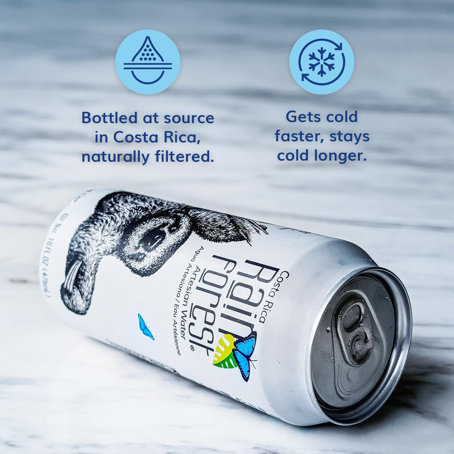 Rainforest Artesian Water  Costa Rica Pallet of 114 boxes - 1 368 Water Cans (475 mL / 16 oz Each) | Eco-Friendly & Sustainable Aluminum Packaging