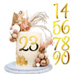 Large Acrylic Cake Numbers Topper, 3.5 Inch 0-9 Numbers Happy Birthday Cake Topper Gold Acrylic Wedding Party Cupcake Toppers Fo