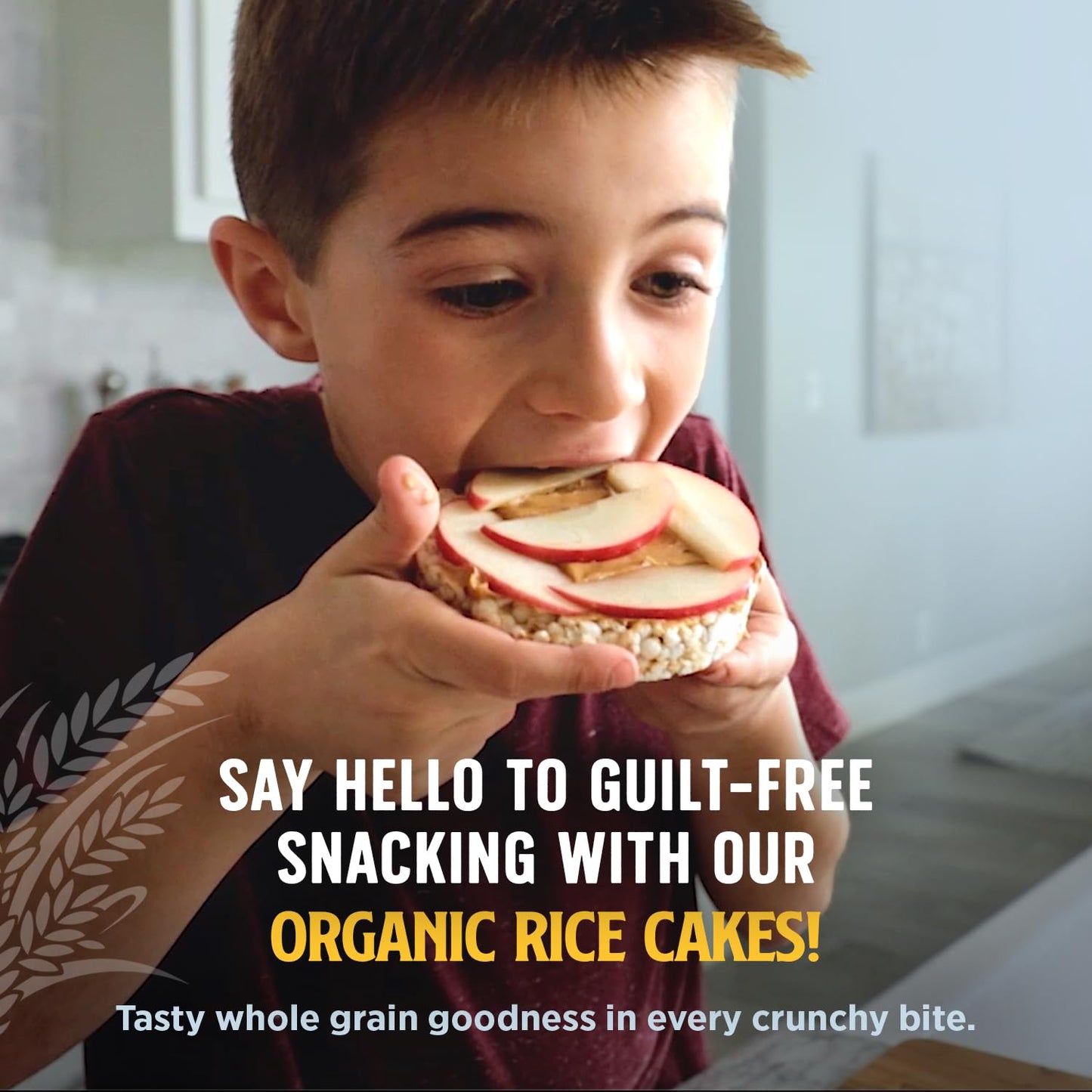 Lundberg Organic Brown Rice Cakes Variety 6-Pack - Regenerative Organic Certified Salt-Free, Lightly Salted, Wild Rice, Tamari W