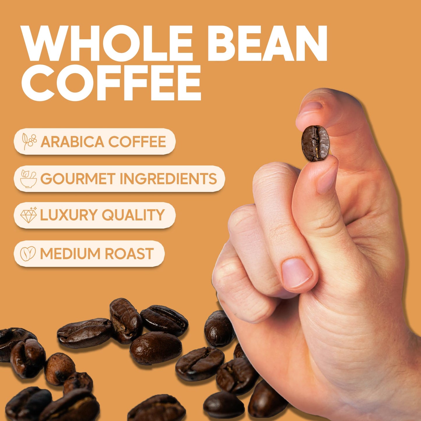 Sarasota Coffee Whole Bean Snickerdoodle Sugar Cookie | Medium Roast Gourmet Flavored Coffee Beans | Low Acid, Mold Free, Specia