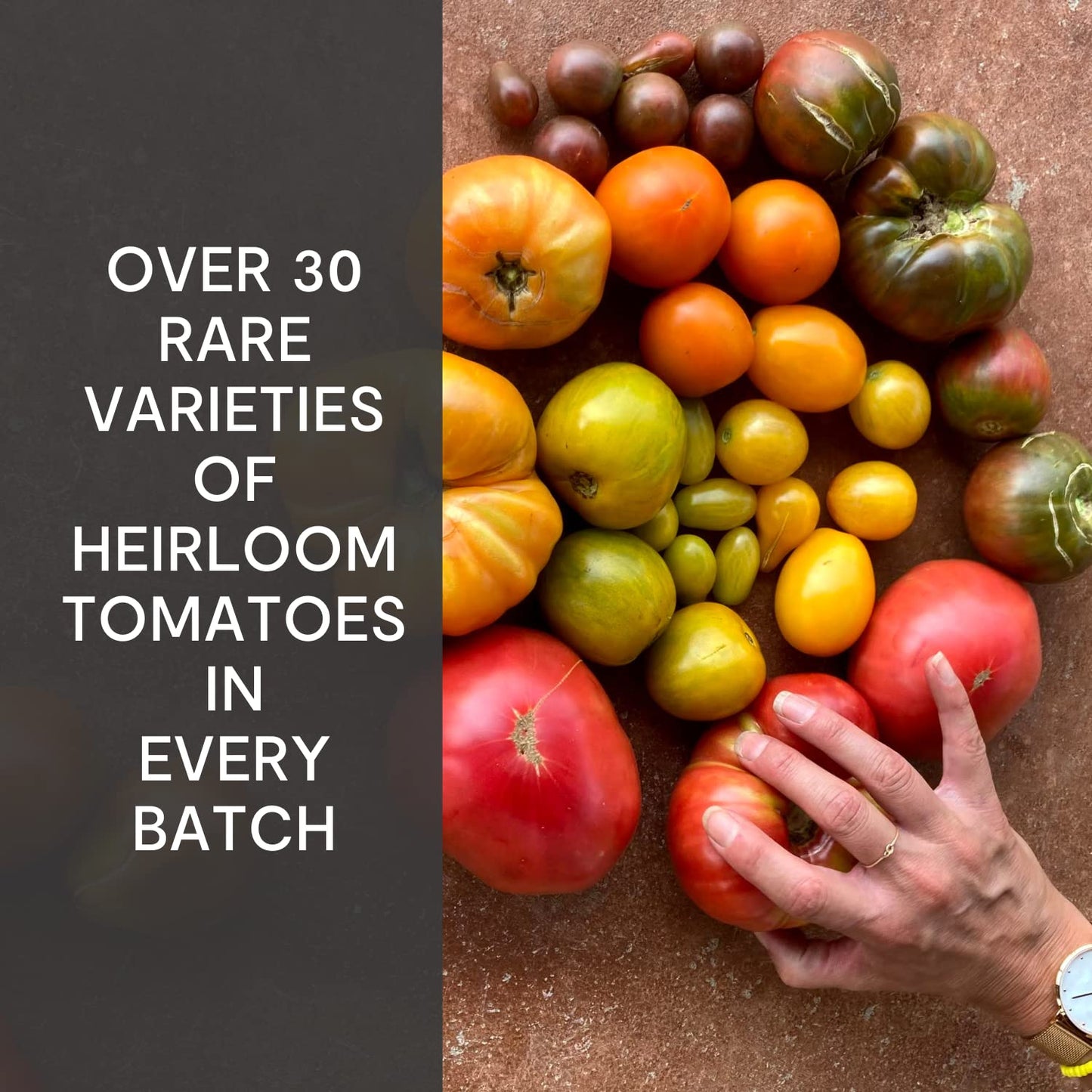 Tomato Bliss Variety Pack Heirloom Tomato Soup, All Natural, Non-Gmo, Vegan, Dairy-Free, No Added Sugar, Healthy Tomato Soups, H