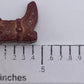 Ncs Brown Cowboy Boot Edible Candy Toppers, 8 Ounces - Great For Cupcakes, Cookies, Cakes, Cake Pops, And Party Tables
