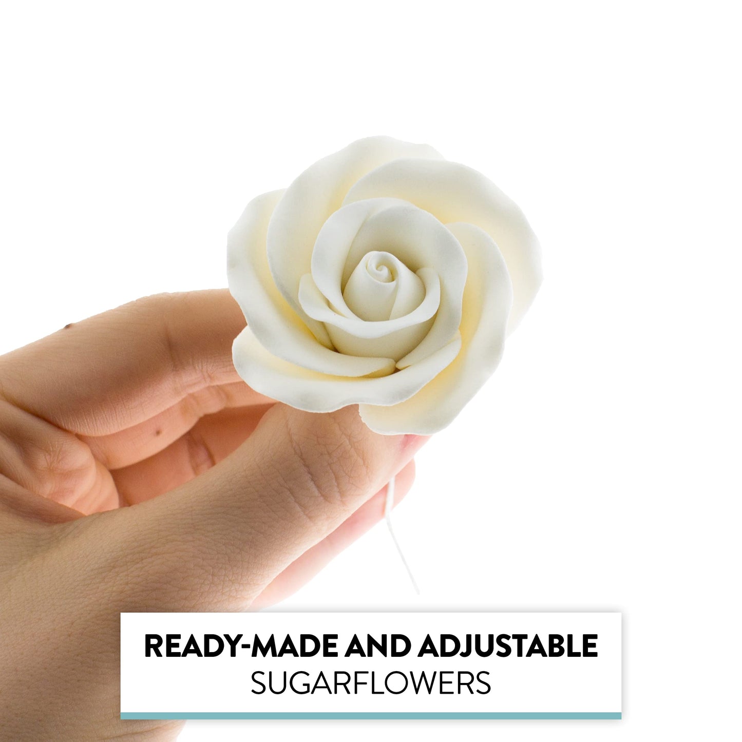 Global Sugar Art Tea Rose Sugar Cake Flowers, White, Large Wired, 12 Count By Chef Alan Tetreault