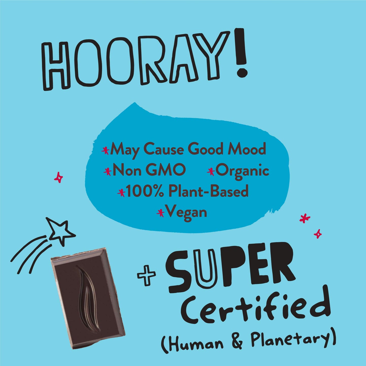 Pascha Organic Dark Chocolate Bars, 70% Cacao, Utz, Gluten Free, Non Gmo, 2.82 Oz, Pack Of 10