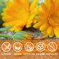 Jarteela Calendula Tea Bags - Natural, Non-GMO, Caffeine-free, 36 Count (Pack of 1)