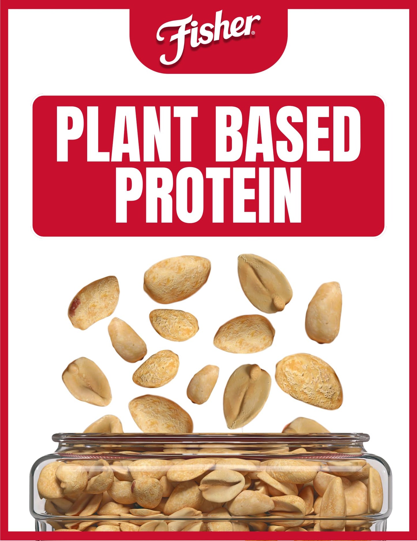 Fisher Sea Salt Dry Roasted Peanuts, 36 oz (Pack of 6) - No Artificial Colors or Flavors, 100% Recyclable Snacks