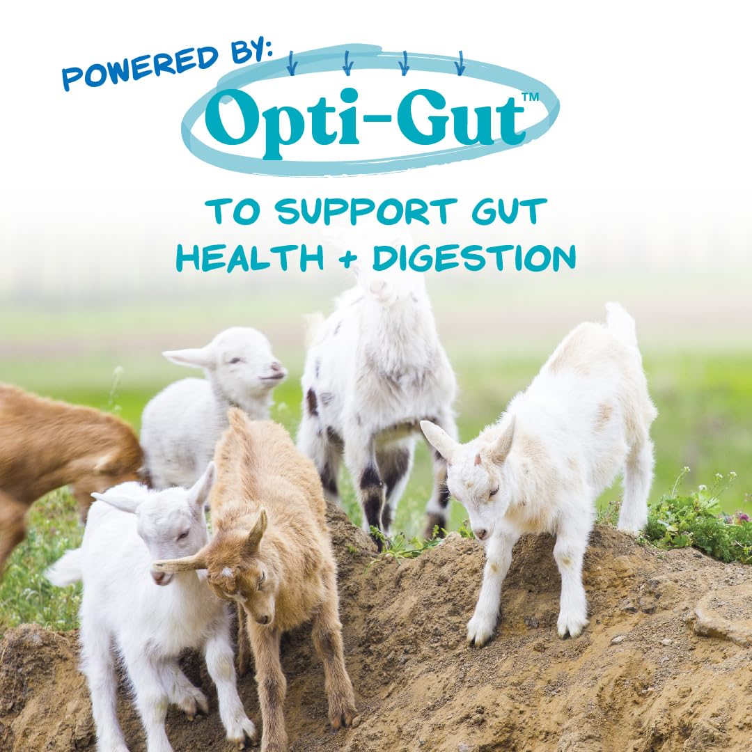 Manna Pro Goat Kid Milk Replacer - High In Protein To Support Growth - Powered By Opti-Gut To Support Gut Health & Digestion - E