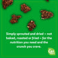 Go Raw Dark Chocolate Snacking Granola, 8oz Pouch, 1 Count, Vegan, Gluten-Free