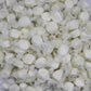 All Flavor Gourmet Saltwater Taffy (Vanilla, 2 Lb)