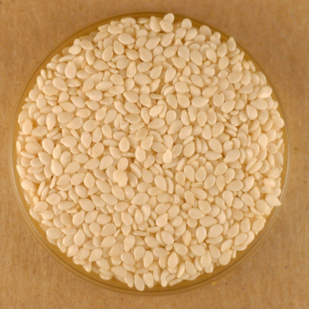 Bulk Seeds, White Sesame Seeds, 5 Lbs
