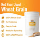 Grand Teton Organic Khorasan Wheat Berries, Premium Food-Grade, 43 lbs