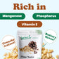 Food to Live Pine Nuts, Whole Raw Pignolias, Unsalted, Kosher, 1 Pound