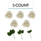 Global Sugar Art Peace Rose White Sugar Cake Flowers 5 Count With Leaves By Chef Alan Tetreault