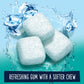 Extra Refreshers Polar Ice chewing gum 40 countPack of 4